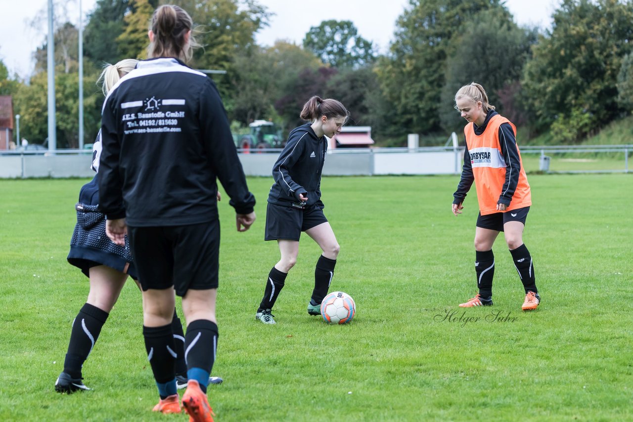 Bild 137 - F SG Daenisch Muessen - SG Blau-Rot Holstein : Ergebnis: 3:1